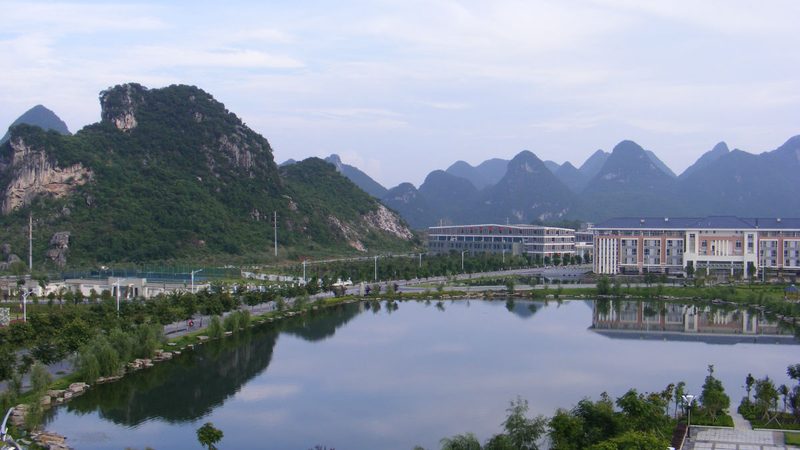 揭秘电子代工行业：十大品牌背后的规范与标准