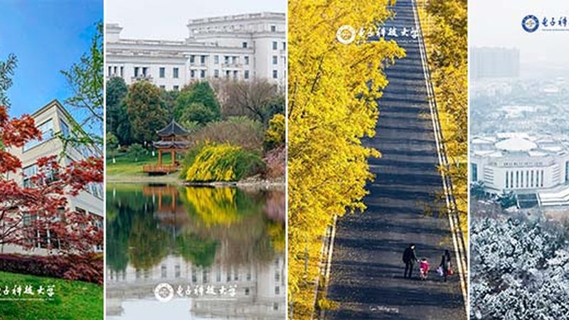 电子代工与ODM代工：本质区别与选择要点